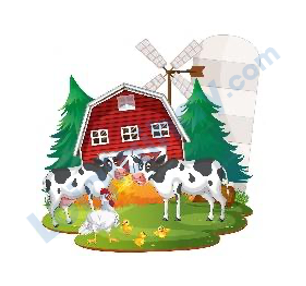 Đề thi giữa kì 2 Tiếng Anh 4 Global Success - Đề số 2 1 4