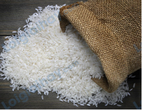Đề thi học kì 1 Tiếng Anh 4 Family and Friends - Đề số 2 0 8