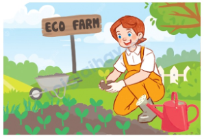 Đề thi học kì 2 Tiếng Anh 5 Global Success - Đề số 4 0 2