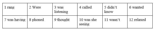 Language focus practice - Unit 1 - SBT Tiếng Anh 8 Friends Plus 3 1