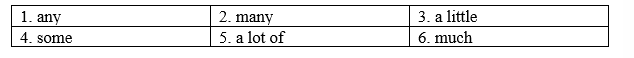 Revision (Units 5-6) - SBT Tiếng Anh 8 Right on! 5 1