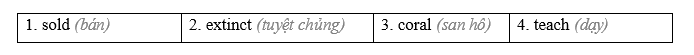Tiếng Anh 11 Unit 7 Lesson 3 5 1