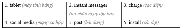 Tiếng Anh 11 Unit 9 Lesson 2 1 3