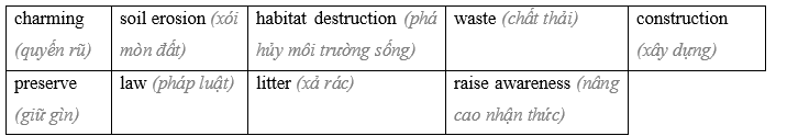 Tiếng Anh 9 Unit 2 2. CLIL (Citizenship) 0 1
