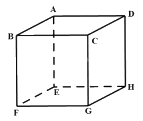 Đề thi học kì 1 Toán 12 Kết nối tri thức - Đề số 3 1 5